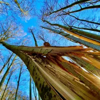 stellplatz-rhoner-auersberg-wildflecken-1-tpbdi