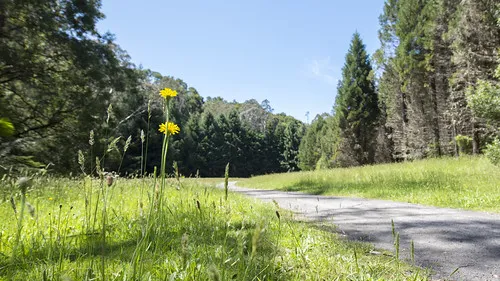 stevensons-falls-campground-barramunga-tjf3p