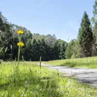 stevensons-falls-campground-barramunga-tjf3p