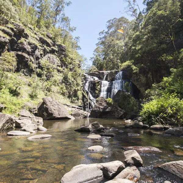stevensons-falls-campground-barramunga-ulexl
