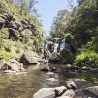 stevensons-falls-campground-barramunga-ulexl
