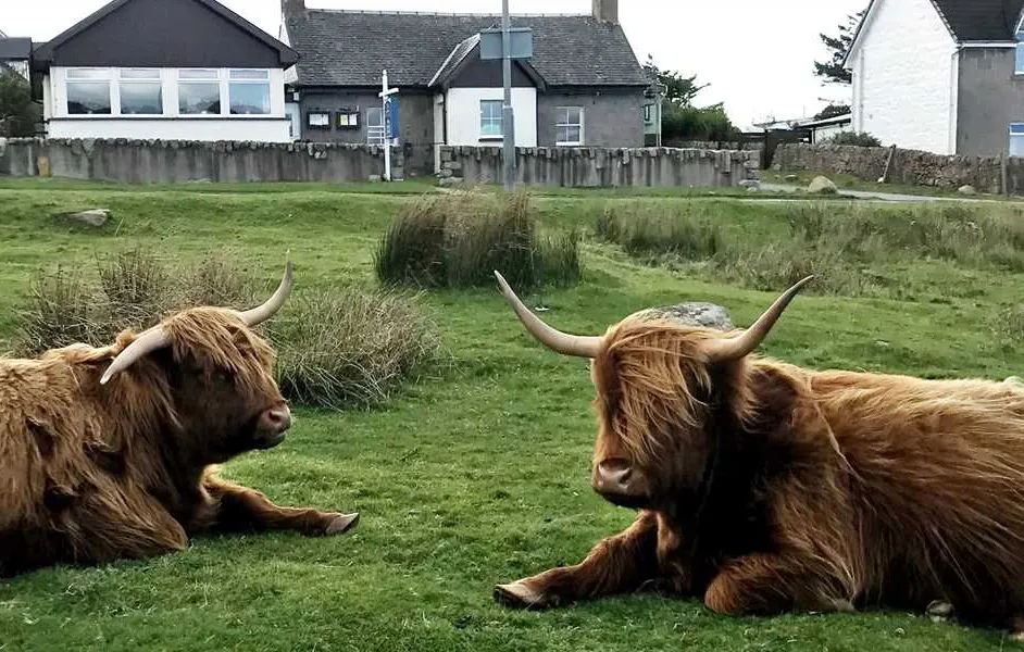 west-highland-way-campsite-glasgow-izcyg