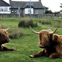 west-highland-way-campsite-glasgow-izcyg