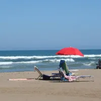 rio-mar-oliva-3z0bc