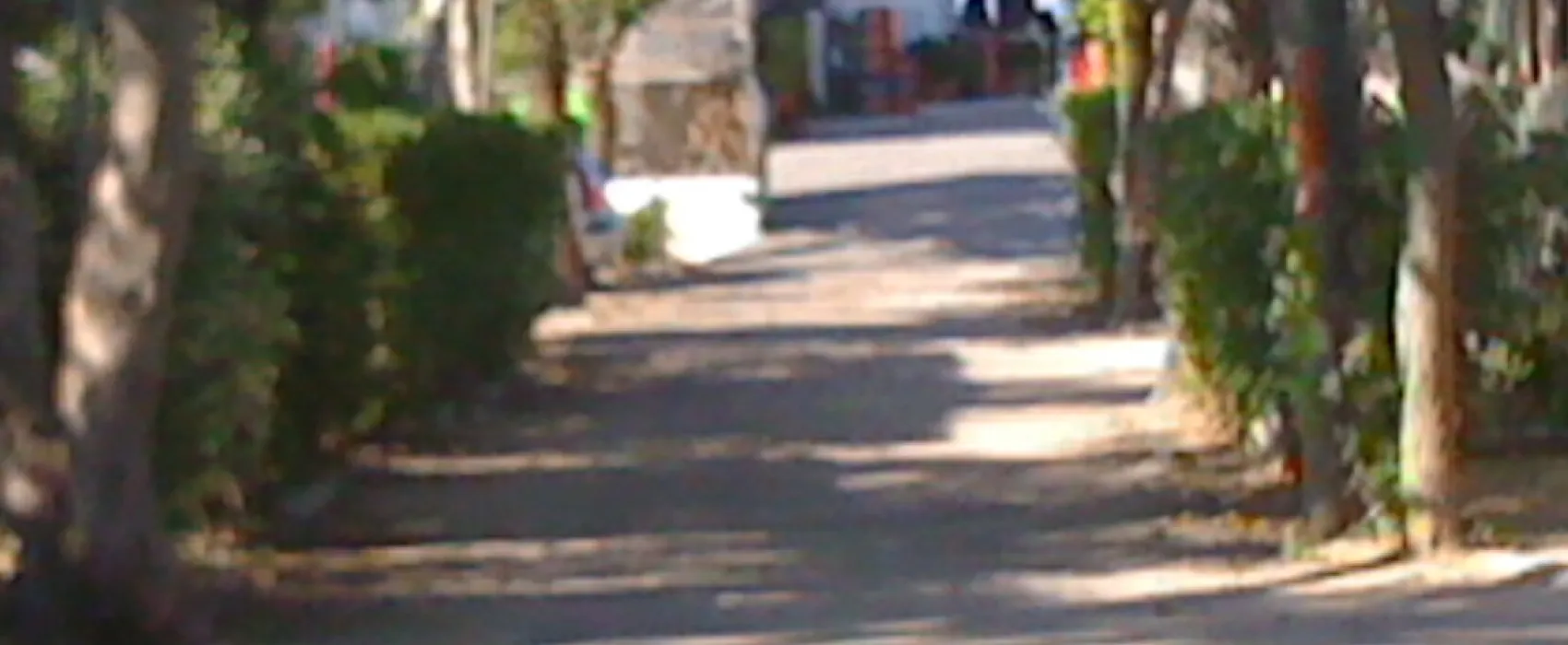 Rio Mar