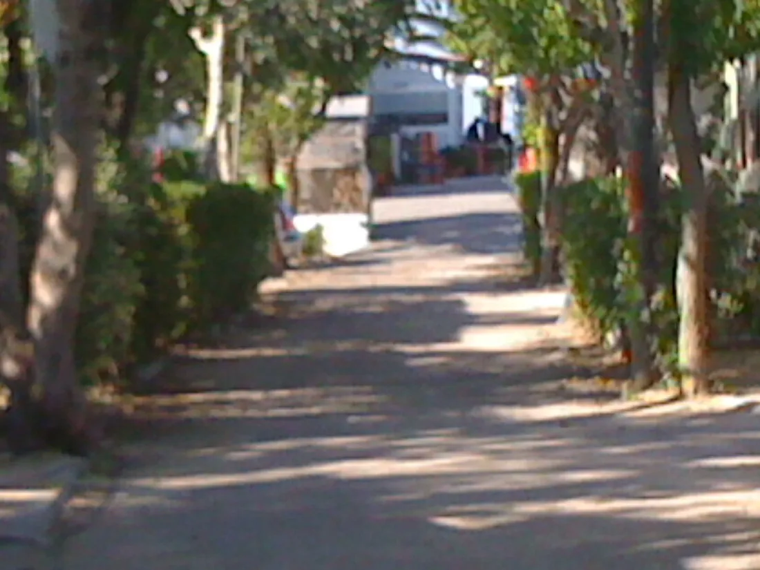 rio-mar-oliva-cud2v