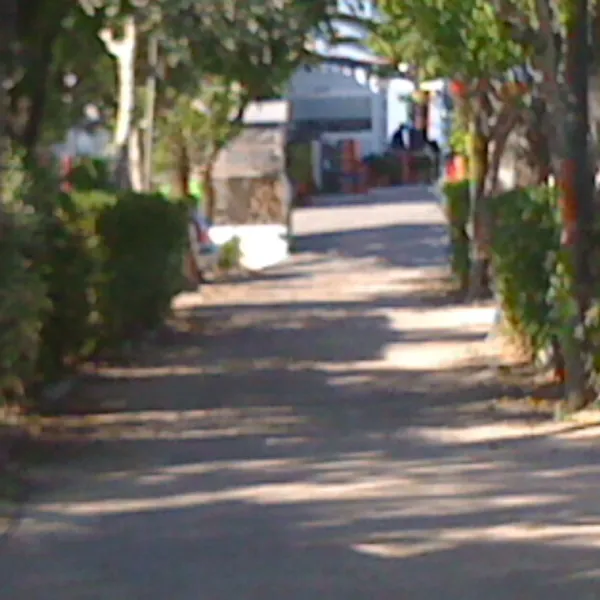 rio-mar-oliva-cud2v