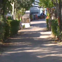 rio-mar-oliva-cud2v