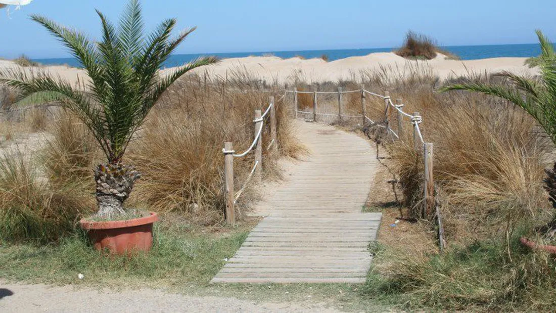 rio-mar-oliva-forhi