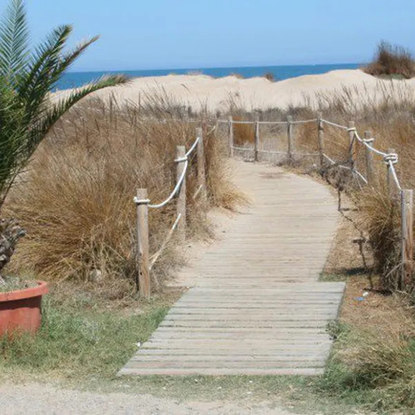 rio-mar-oliva-forhi