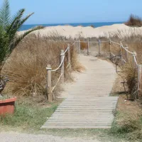 rio-mar-oliva-forhi