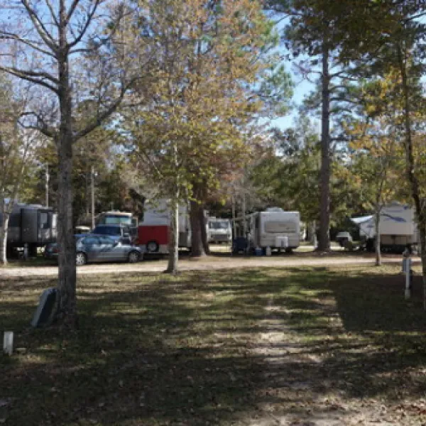pelican-palms-rv-park-milton-n39td