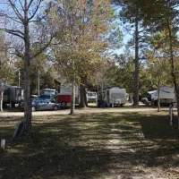Pelican Palms RV Park
