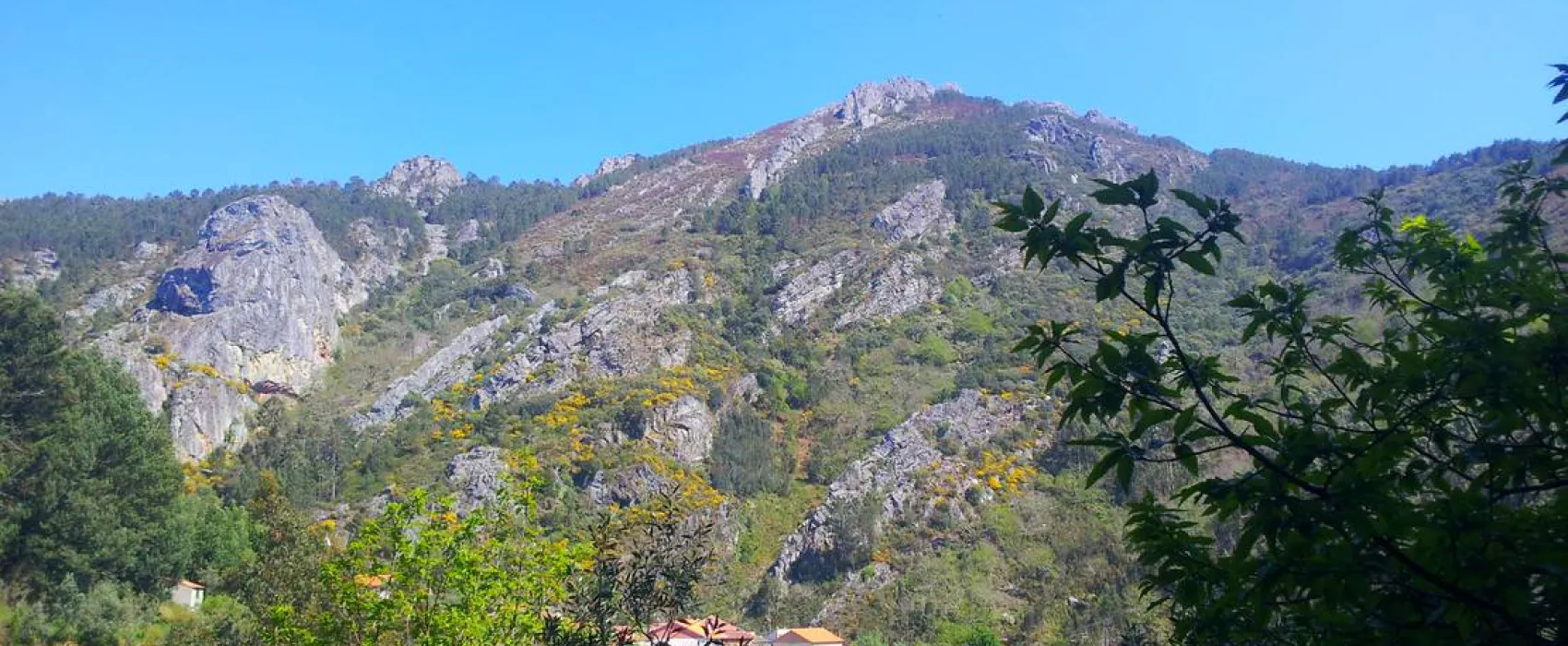 Góis Camping
