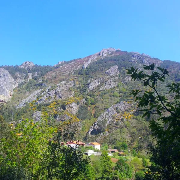 gois-camping-gois-hbrnl