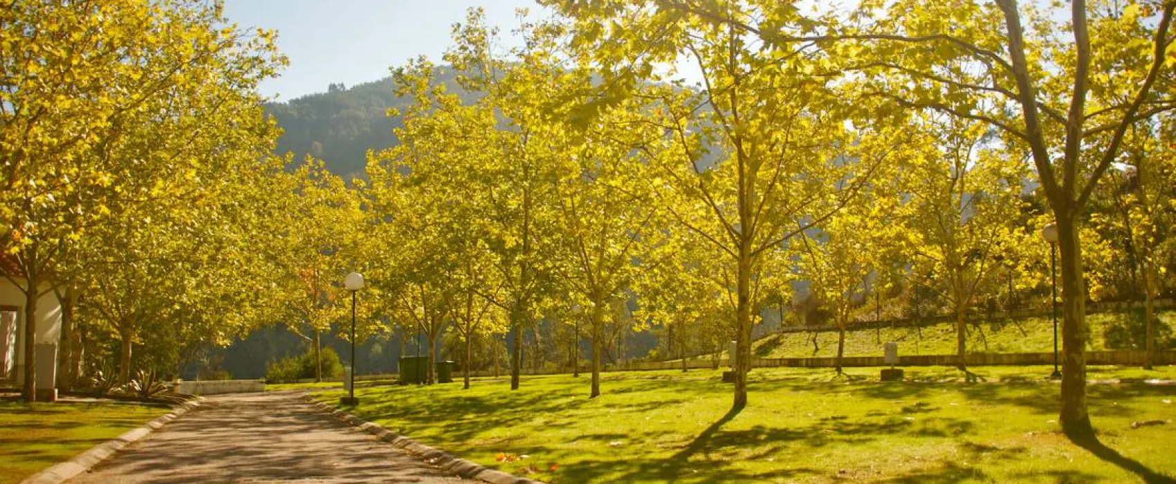 Góis Camping