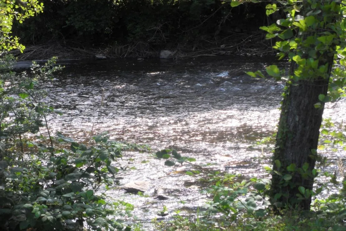 camping-municipal-chouvigny-chouvigny-pyufn