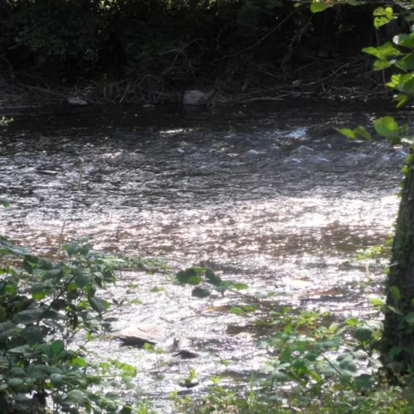 camping-municipal-chouvigny-chouvigny-pyufn