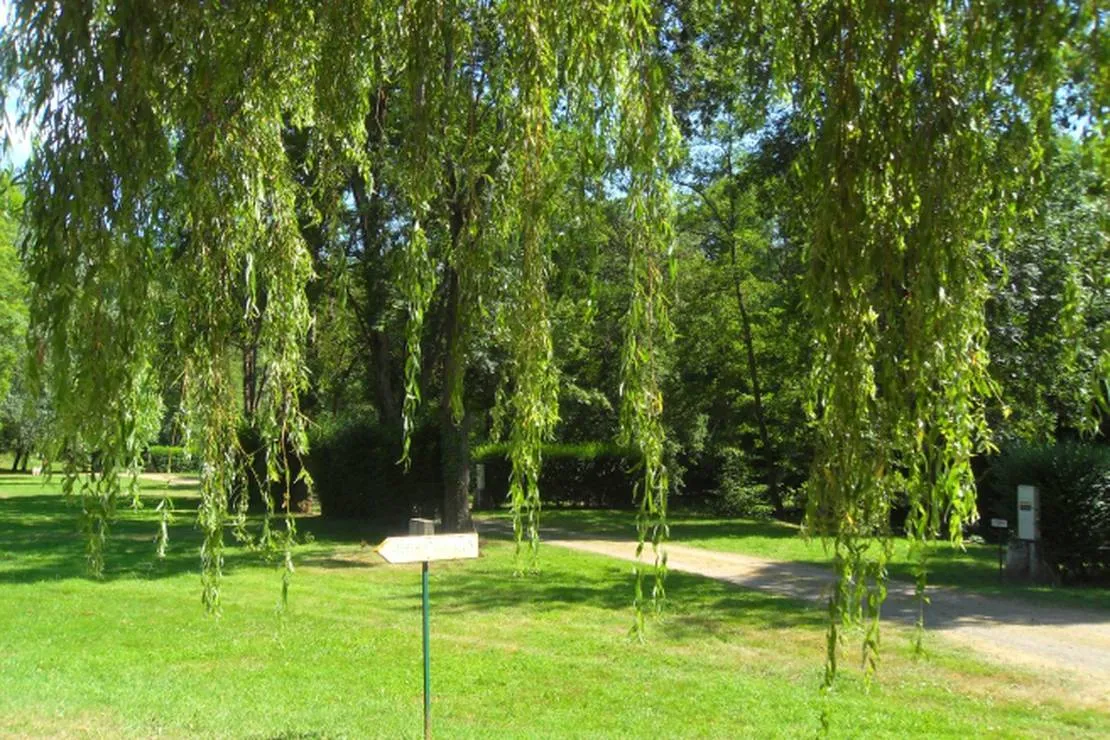 camping-municipal-chouvigny-chouvigny-zr6bl