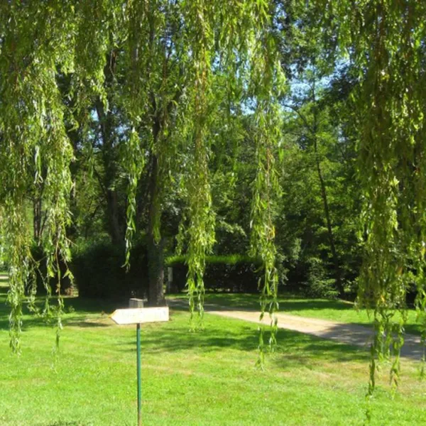 camping-municipal-chouvigny-chouvigny-zr6bl