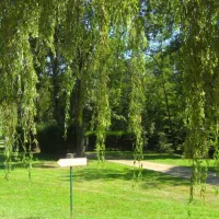 camping-municipal-chouvigny-chouvigny-zr6bl