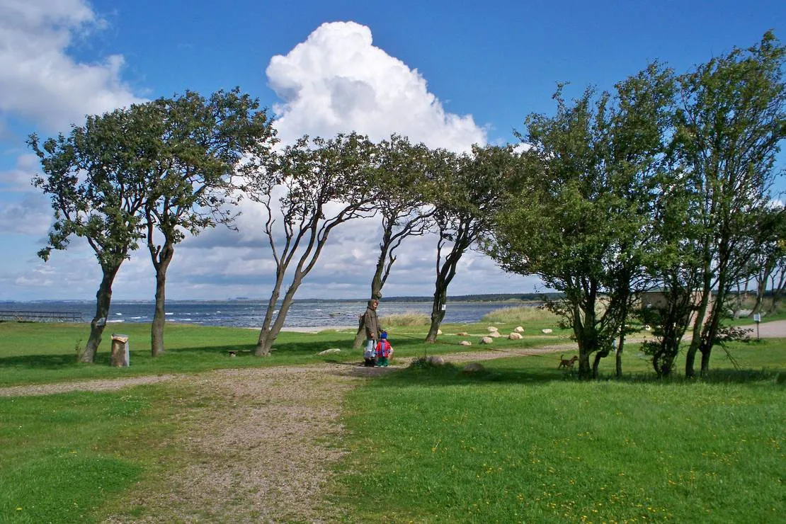 barsebackstrand-camping-stugby-barseback-2ieg4