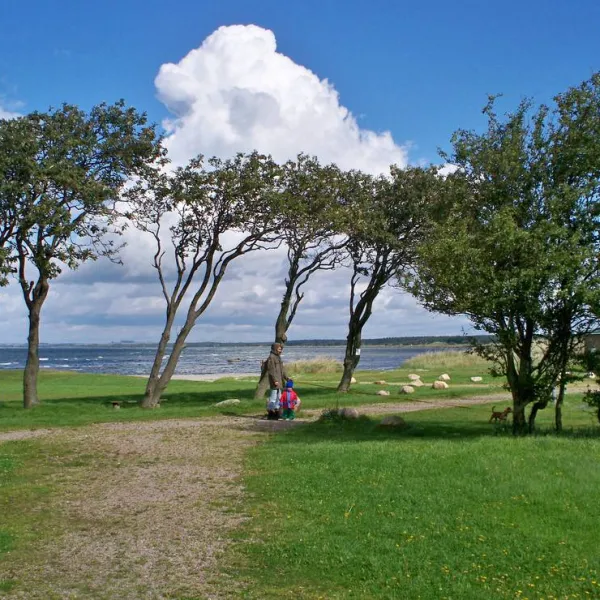 barsebackstrand-camping-stugby-barseback-2ieg4