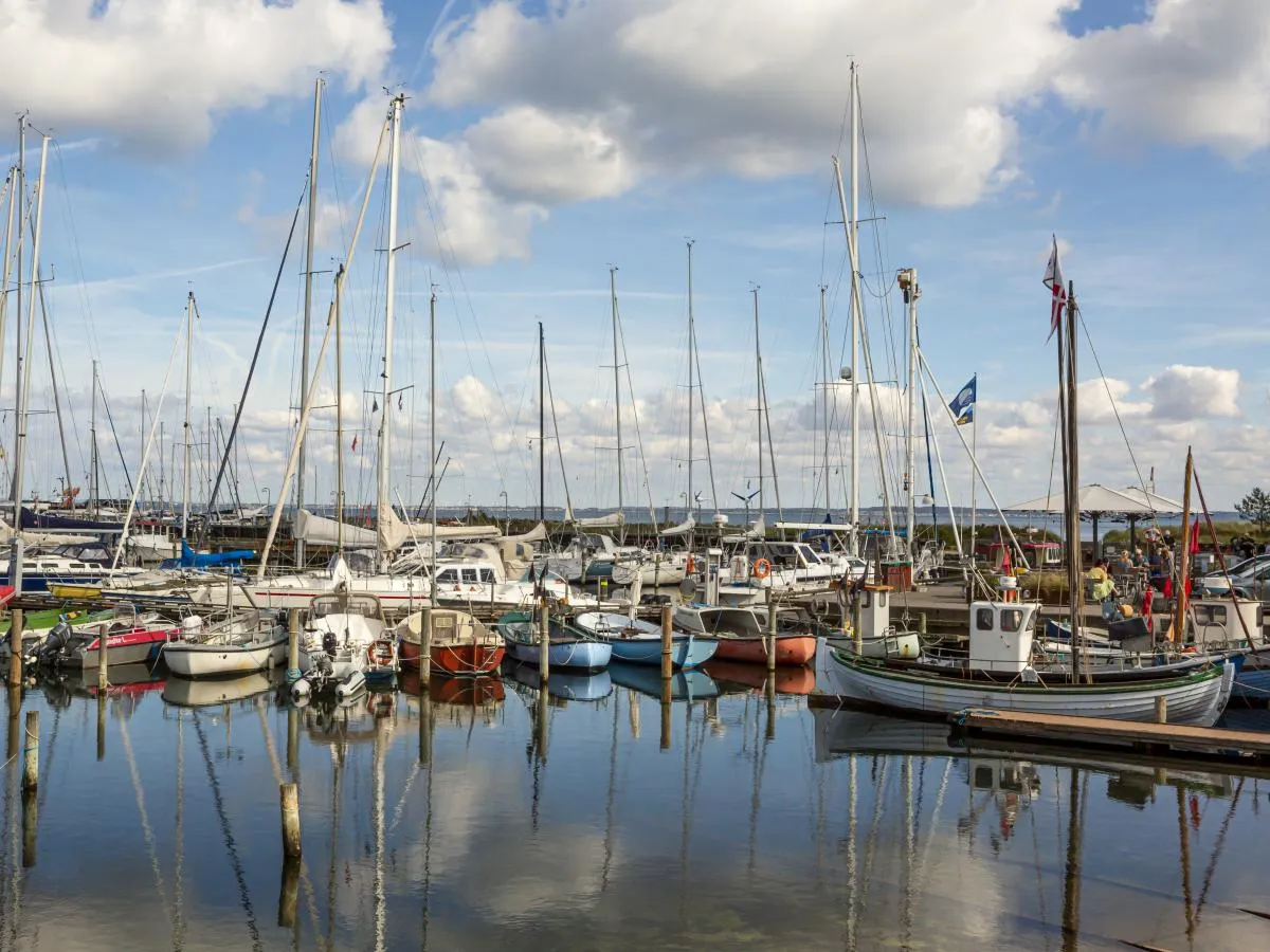 Hornbæk X