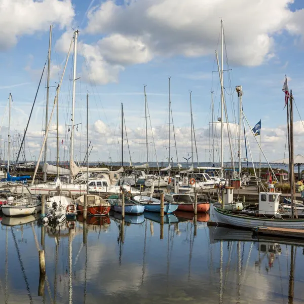 Hornbæk X