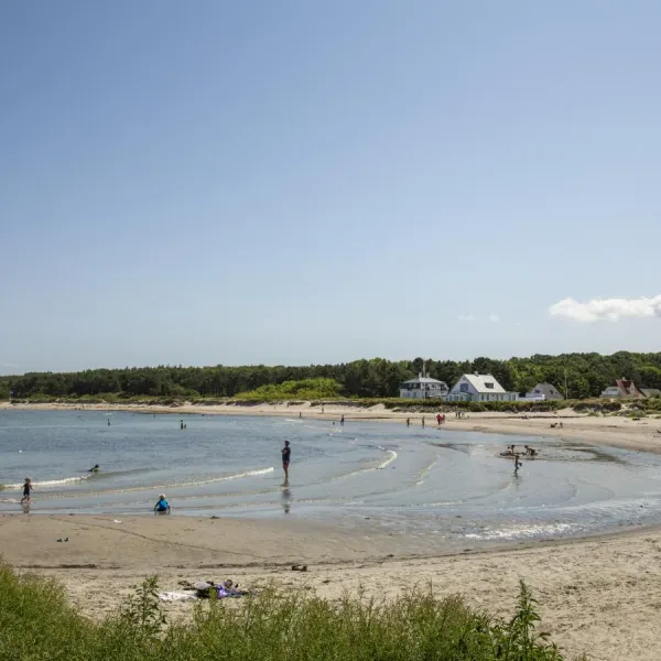 Hornbæk XII