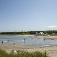 Hornbæk XII
