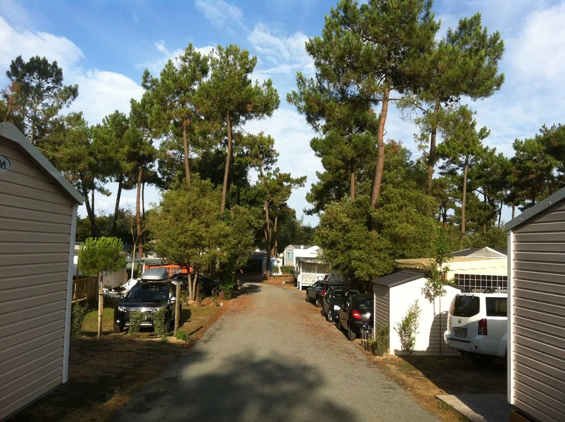 les-genets-st-jean-de-monts-vendee-5pexq
