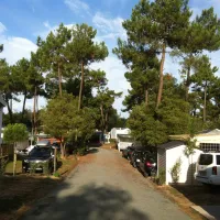 les-genets-st-jean-de-monts-vendee-5pexq