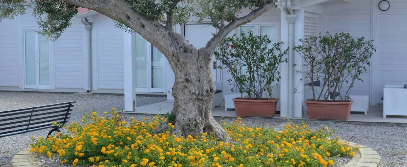 Agricampeggio Alessandra