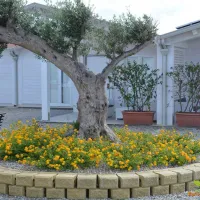 Agricampeggio Alessandra
