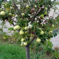 agricampeggio-alessandra-torrenova-pohbl
