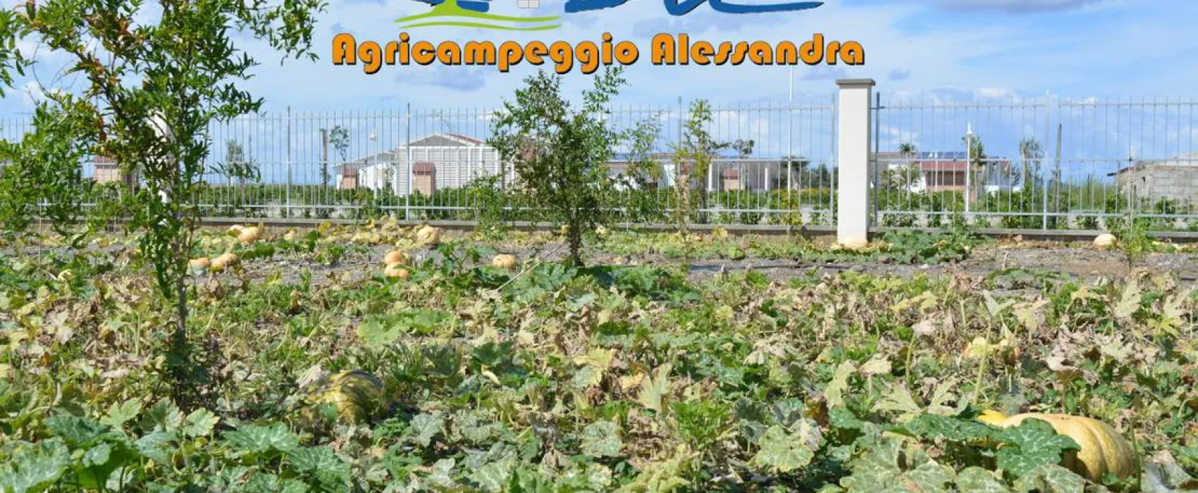 Agricampeggio Alessandra