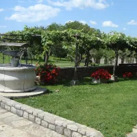 camp-brajda-sezana-r79sj
