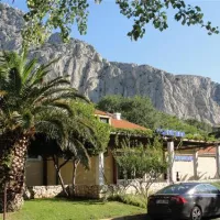 kamp-galeb-omi-ptye8