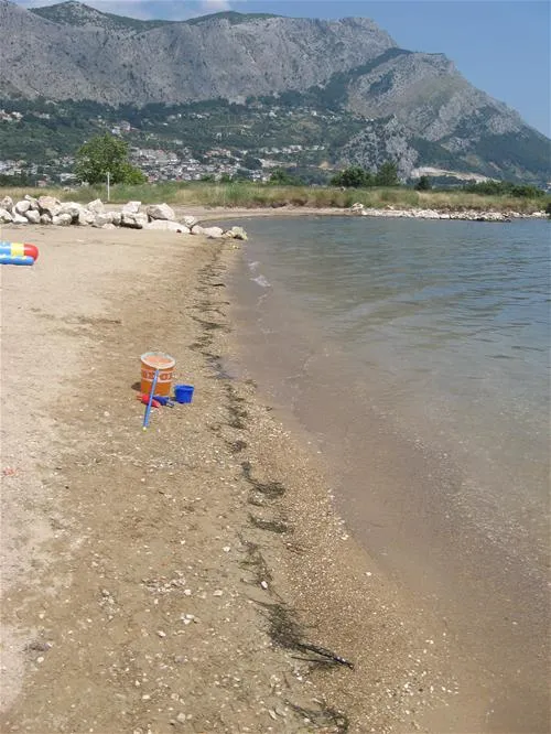kamp-galeb-omi-ykkwn