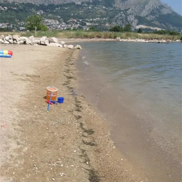 kamp-galeb-omi-ykkwn