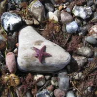 campingplatz-lehmberg-ostsee-waabs-yc6jk