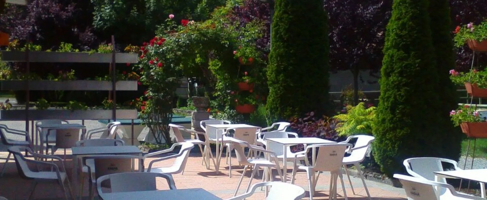 Camping Los Vives