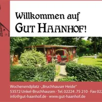 Bruchhauser Heide