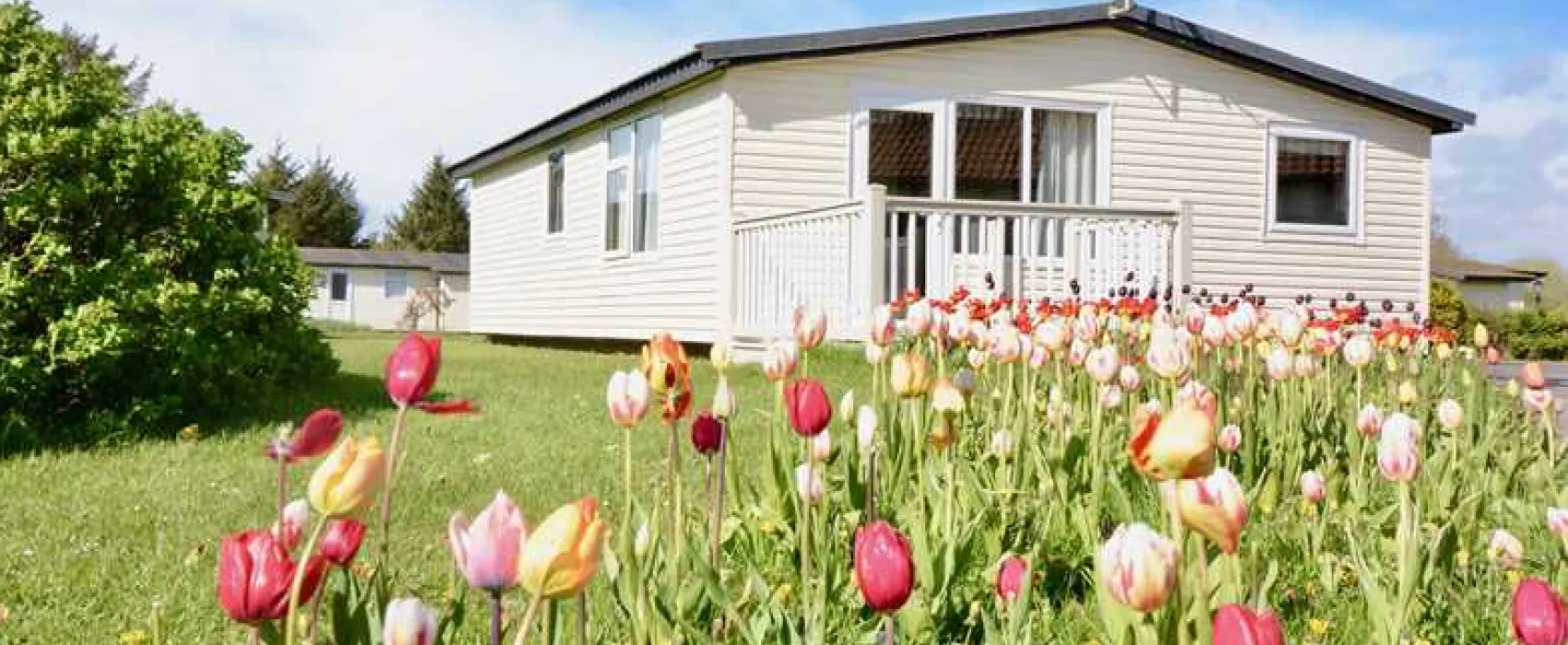 Solway Holiday Village
