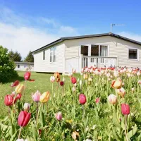 solway-holiday-village-wigton-cbjbg
