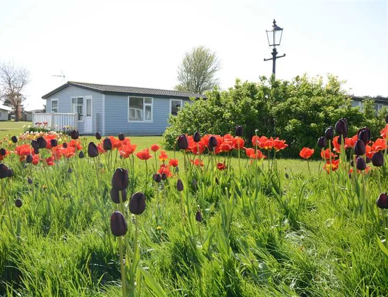 solway-holiday-village-wigton-ttlm0