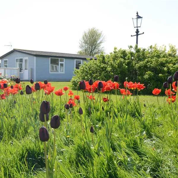 solway-holiday-village-wigton-ttlm0