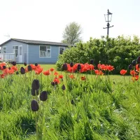 solway-holiday-village-wigton-ttlm0
