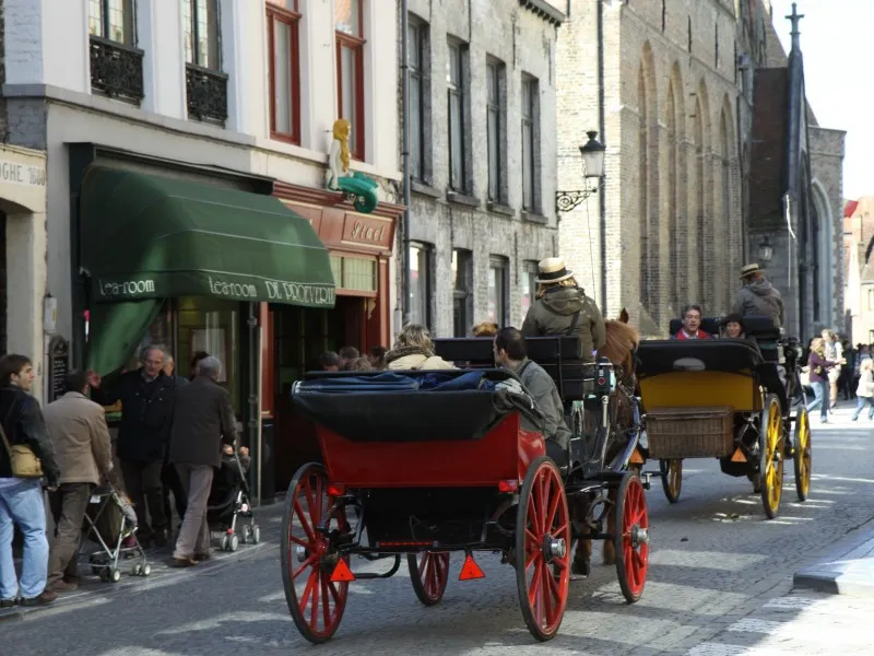 camping-memling-brugge-obprp